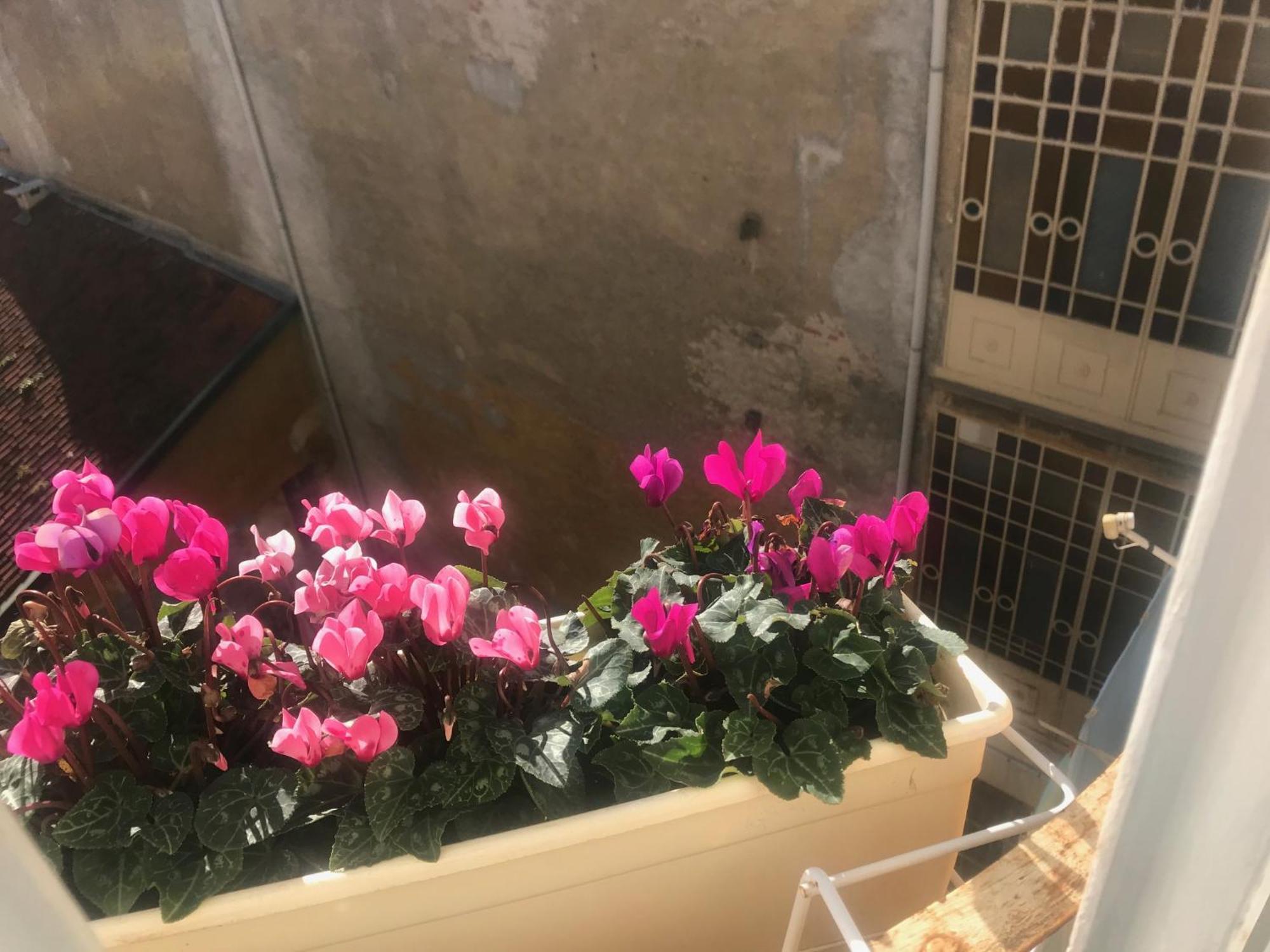 A Due Passi Dal Duomo Hotell Biella Exteriör bild